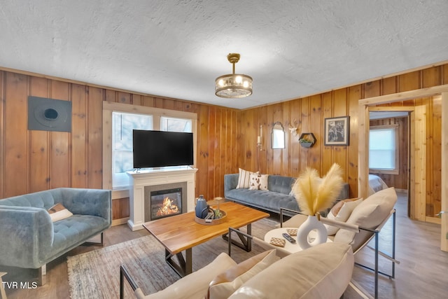 136 Beecher Holtsclaw Rd, Roan Mountain, TN 37687 - living area with a textured ceiling, wood walls, wood finished floors, and a glass covered fireplace