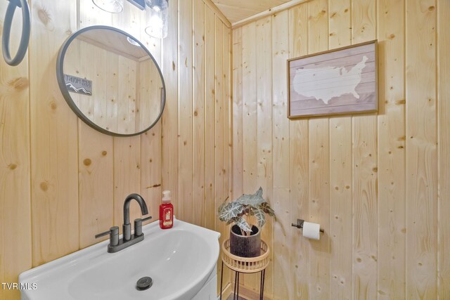 136 Beecher Holtsclaw Rd, Roan Mountain, TN 37687 - bathroom featuring a sink and wooden walls