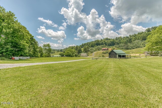 1761 Pine Orchard Rd, Butler, TN 37640 - photo 47