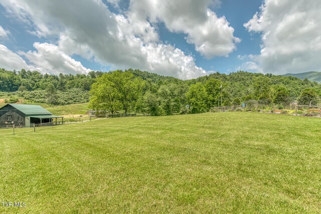 1761 Pine Orchard Rd, Butler, TN 37640 - photo 48