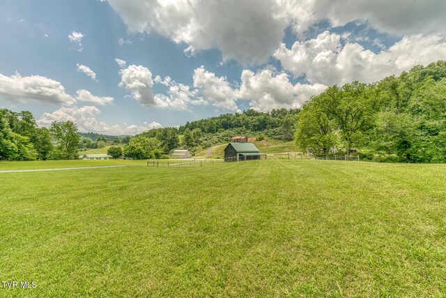 1761 Pine Orchard Rd, Butler, TN 37640 - photo 56