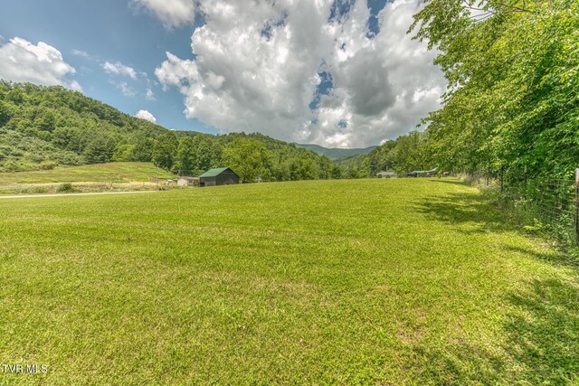 1761 Pine Orchard Rd, Butler, TN 37640 - photo 78