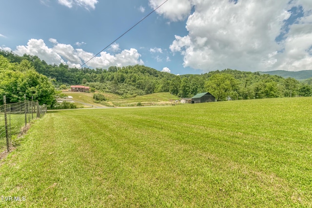 1761 Pine Orchard Rd, Butler, TN 37640 - photo 79