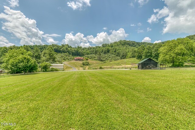 1761 Pine Orchard Rd, Butler, TN 37640 - photo 80