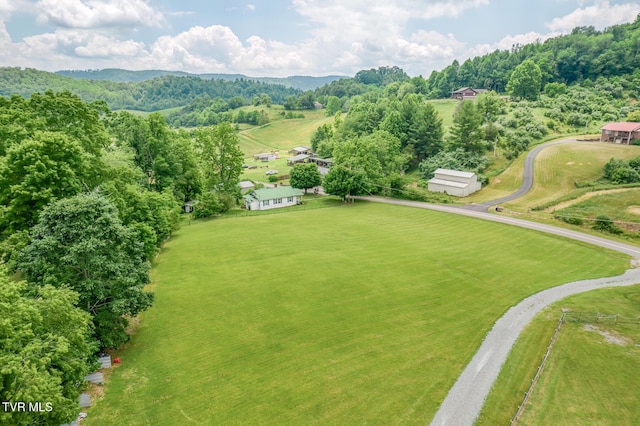 1761 Pine Orchard Rd, Butler, TN 37640 - photo 85