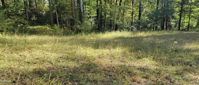TBD Whitehead Hollow Rd, Roan Mountain, TN 37687