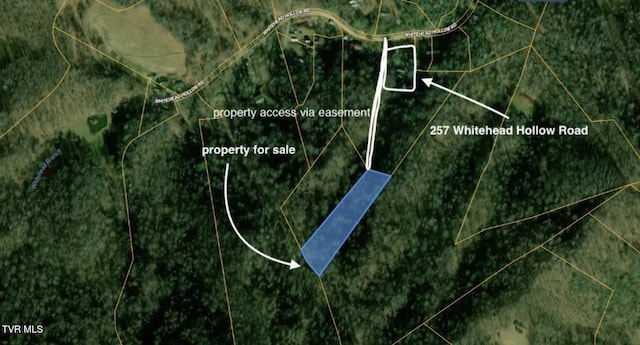 TBD Whitehead Hollow Rd, Roan Mountain, TN 37687
