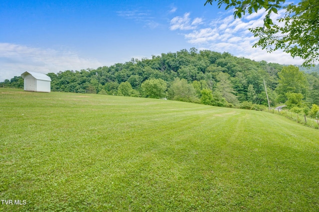 935 Adams Ln, Mooresburg, TN 37811 - photo 19