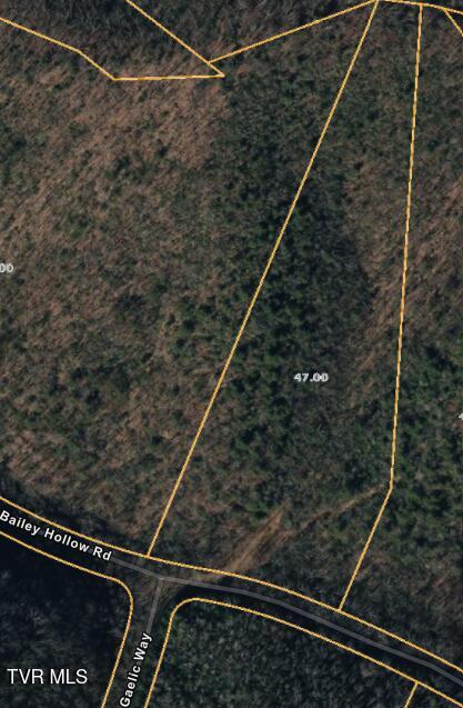 LOT4 Bailey Hollow Rd, Erwin, TN 37650