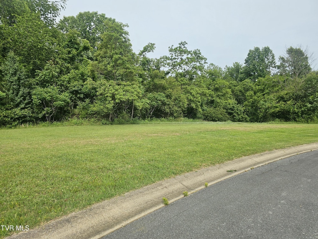 LOT21 Bedford Cir, Greeneville, TN 37743 - photo 1