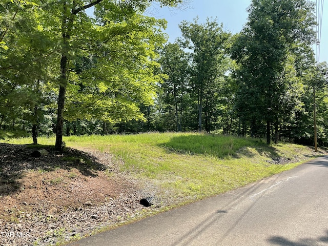 323 Chelaque Way, Mooresburg, TN 37811 - photo 1