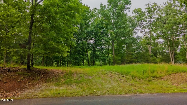 323 Chelaque Way, Mooresburg, TN 37811 - photo 2