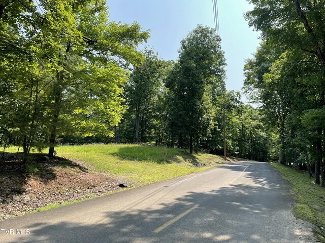 323 Chelaque Way, Mooresburg, TN 37811 - photo 3