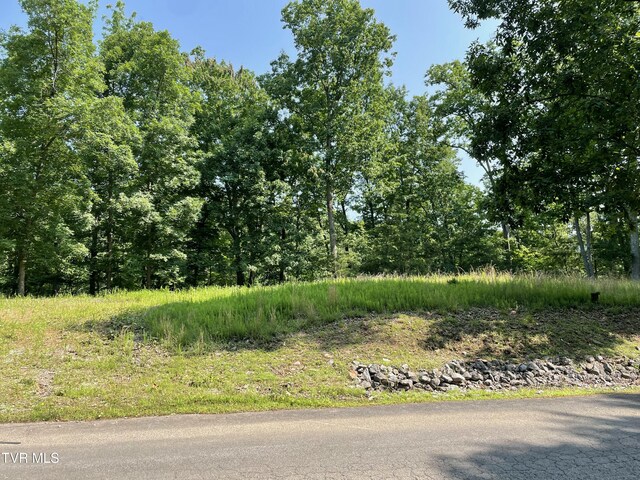 323 Chelaque Way, Mooresburg, TN 37811 - photo 4