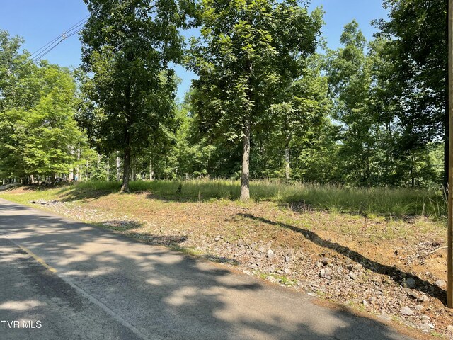 323 Chelaque Way, Mooresburg, TN 37811 - photo 5