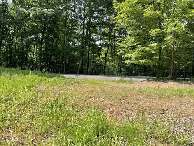 323 Chelaque Way, Mooresburg, TN 37811 - photo 6