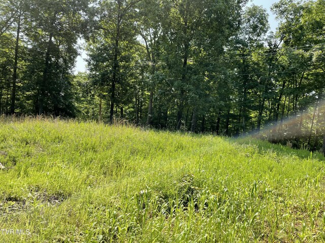 323 Chelaque Way, Mooresburg, TN 37811 - photo 7