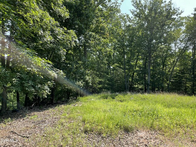 323 Chelaque Way, Mooresburg, TN 37811 - photo 8