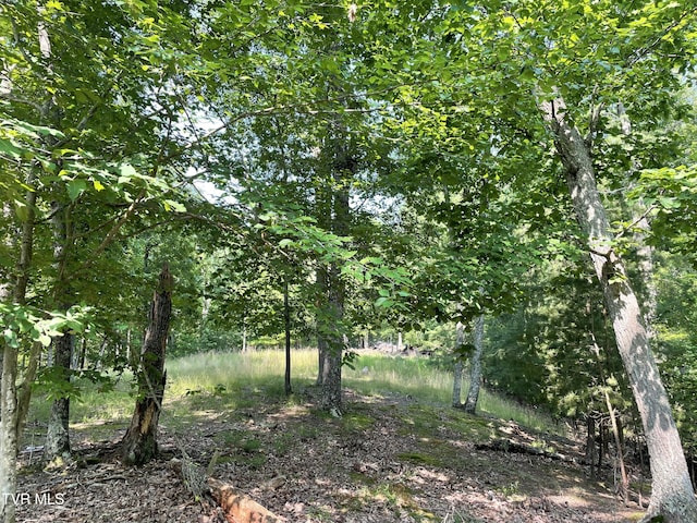 323 Chelaque Way, Mooresburg, TN 37811 - photo 10