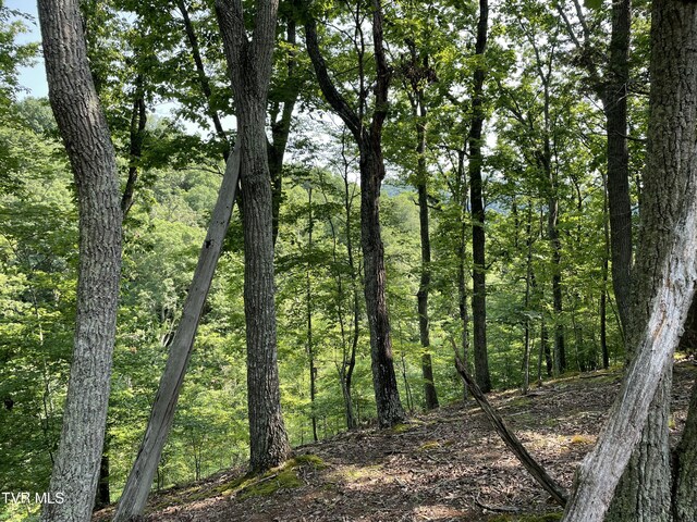 323 Chelaque Way, Mooresburg, TN 37811 - photo 11