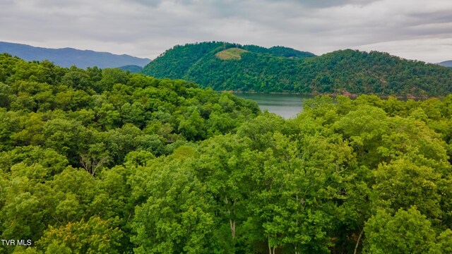 323 Chelaque Way, Mooresburg, TN 37811 - photo 13