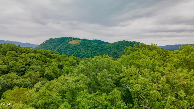 323 Chelaque Way, Mooresburg, TN 37811 - photo 14