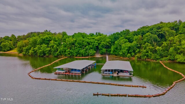 323 Chelaque Way, Mooresburg, TN 37811 - photo 19