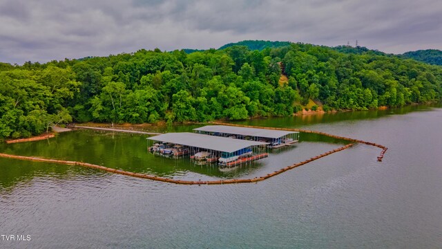 323 Chelaque Way, Mooresburg, TN 37811 - photo 20