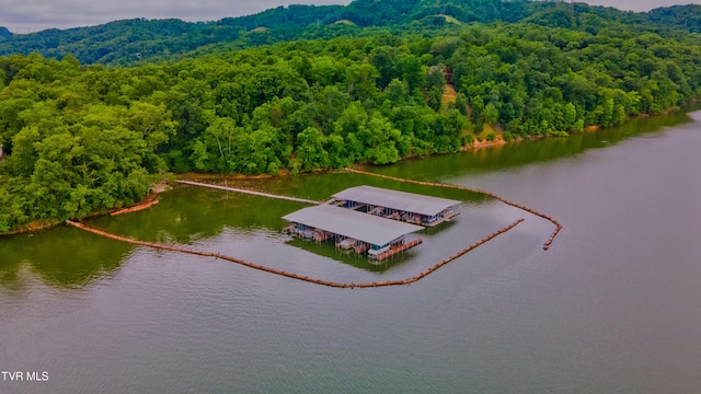 323 Chelaque Way, Mooresburg, TN 37811 - photo 21