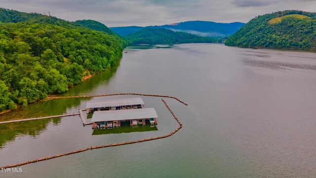323 Chelaque Way, Mooresburg, TN 37811 - photo 22