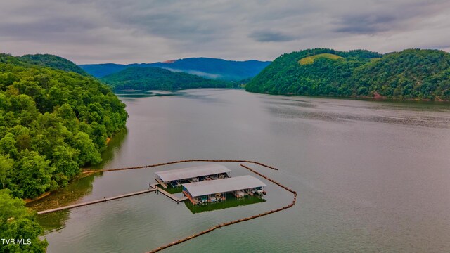 323 Chelaque Way, Mooresburg, TN 37811 - photo 23