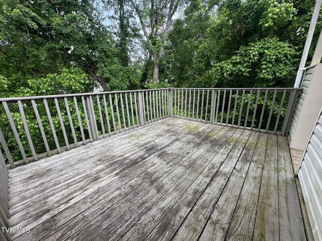 1238 Holyoke St, Kingsport, TN 37664 - photo 46