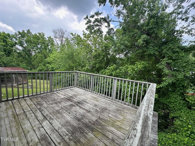1238 Holyoke St, Kingsport, TN 37664 - photo 45