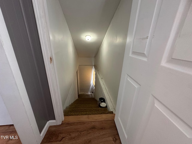 1238 Holyoke St, Kingsport, TN 37664 - photo 34