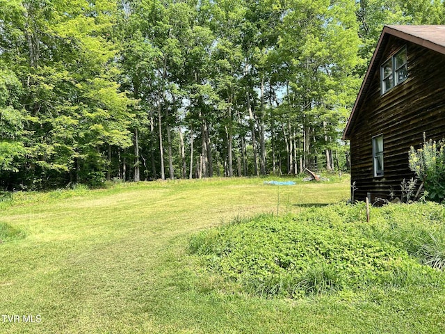 12615 Star Branch Rd, Coeburn, VA 24230 - view of green lawn