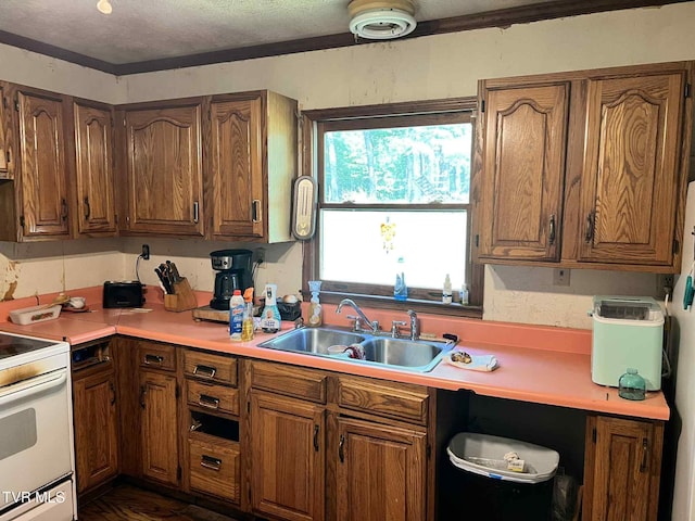 12615 Star Branch Rd, Coeburn, VA 24230 - kitchen featuring a sink, white range with electric stovetop, light countertops, a textured ceiling, and brown cabinets