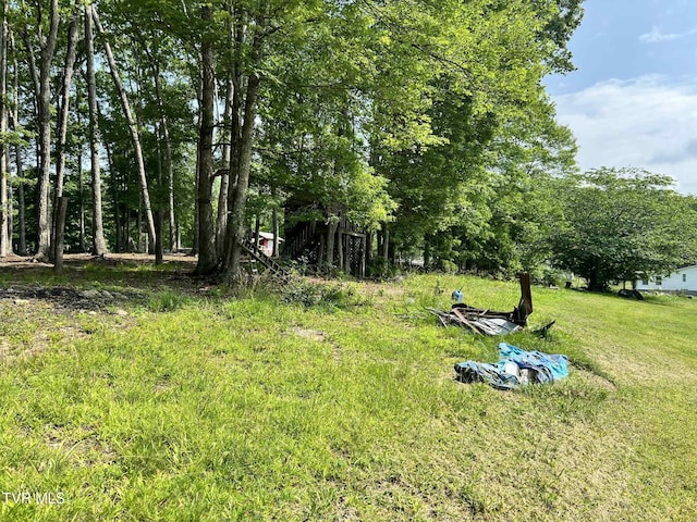 12615 Star Branch Rd, Coeburn, VA 24230 - view of yard