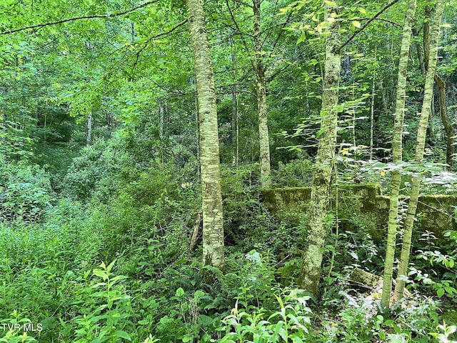 7576 Wells Adams Rd, Norton, VA 24273