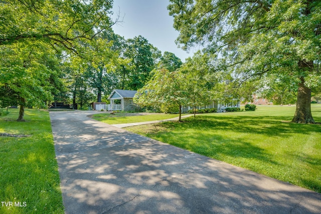 421 High Ridge Rd, Kingsport, TN 37660 - view of property hidden behind natural elements featuring concrete driveway and a front yard