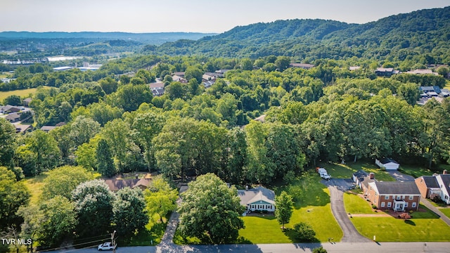 421 High Ridge Rd, Kingsport, TN 37660 - bird's eye view of a forest and a mountain backdrop