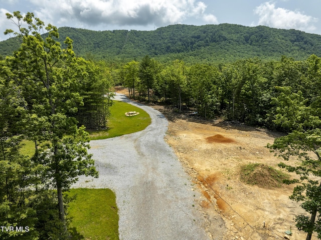2540 Shelton Mission Rd, Greeneville, TN 37743