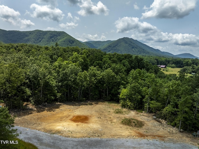 2540 Shelton Mission Rd, Greeneville, TN 37743