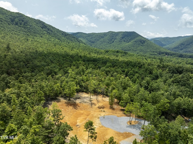 2540 Shelton Mission Rd, Greeneville, TN 37743