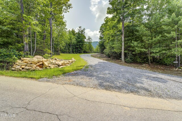 2540 Shelton Mission Rd, Greeneville, TN 37743