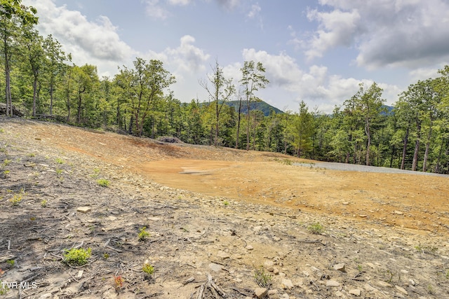 2540 Shelton Mission Rd, Greeneville, TN 37743