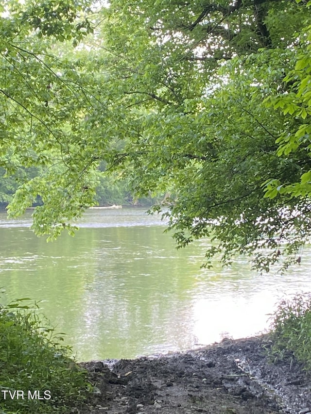 9245 Mendota Rd, Mendota, VA 24270 - water view