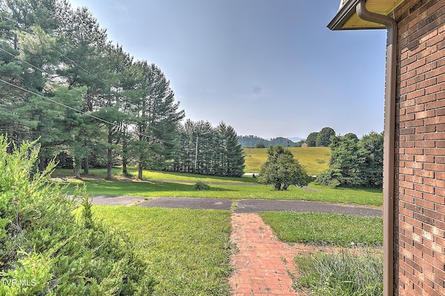 14191 King Mill Pike, Bristol, VA 24202 - view of grassy yard