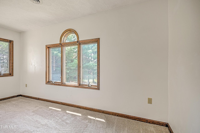 14191 King Mill Pike, Bristol, VA 24202 - carpeted empty room with a textured ceiling and baseboards