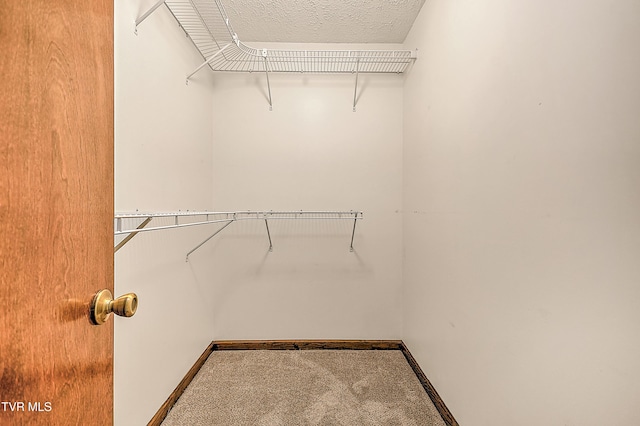 14191 King Mill Pike, Bristol, VA 24202 - spacious closet featuring carpet floors