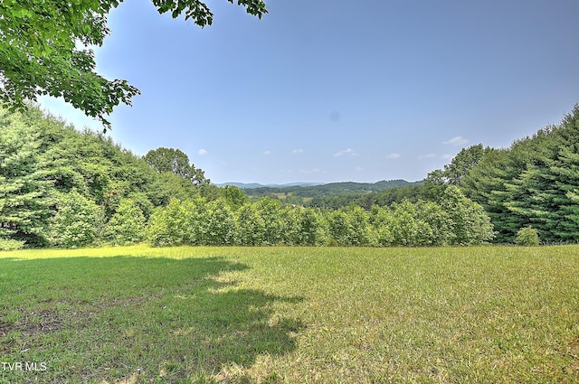 14191 King Mill Pike, Bristol, VA 24202 - view of grassy yard with a view of trees